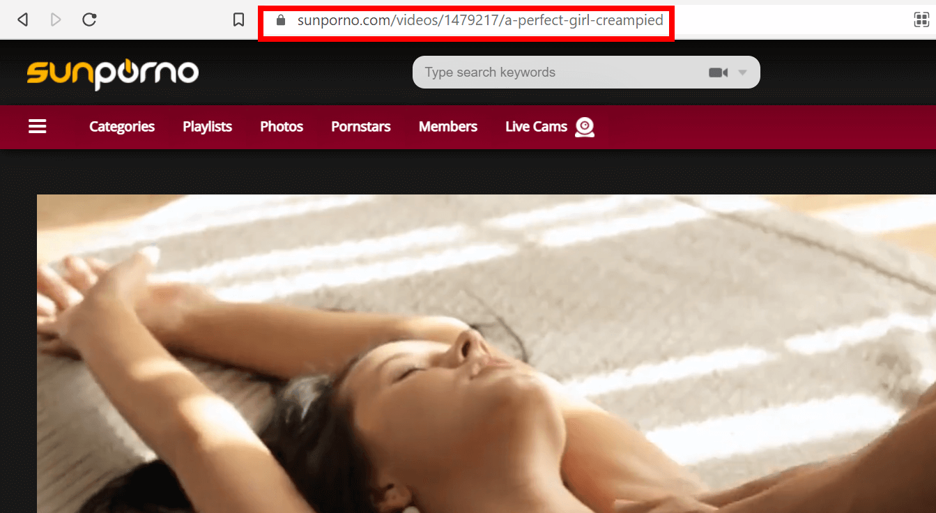 1343px x 736px - How to Download Videos from Sunporno for Free (2024) | GetAppSolution